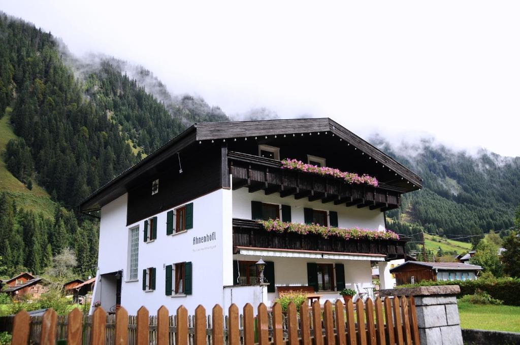 Apartment Ahnenhoefl Partenen
